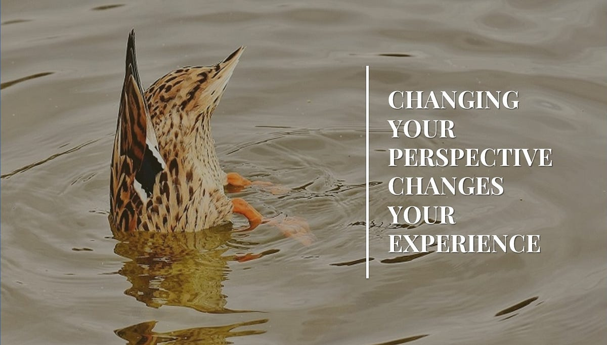 Inspirational Life Experiences That Can Change Your Perspective