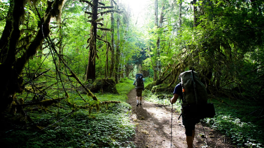 New experiences to explore and enjoy in 2026 through travel, outdoor activities, hobbies, local events, and everyday adventures.